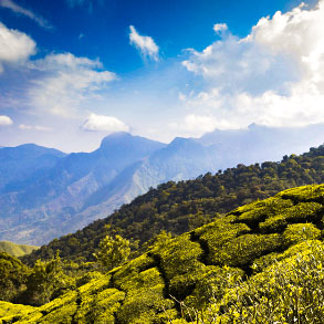 Darjeeling Tour Package